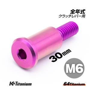 チタンボルト M6×30 P1.0 パープル 1本 ピポットボルト スレッド 14mm ホンダ NSR250 ハンドル クラッチ レバー ボルト バイク レストア｜ksgarage