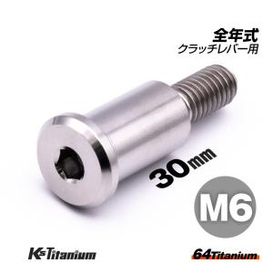 K'sガレージ 64チタン ホンダ クラッチレバー ピポットボルト M6×30 P1