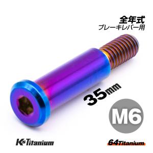 チタンボルト M6×35 P1.0 焼き色 1本 ピポットボルト スレッド 12mm ホンダ NSR250 ハンドル ブレーキ レバー ボルト バイク レストア｜ksgarage