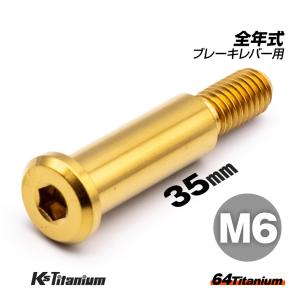 チタンボルト M6×35 P1.0 ゴールド 1本 ピポットボルト スレッド 12mm ホンダ NSR250 ハンドル ブレーキ レバー ボルト バイク レストア｜ksgarage