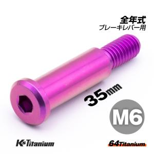 チタンボルト M6×35 P1.0 パープル 1本 ピポットボルト スレッド 12mm ホンダ NSR250 ハンドル ブレーキ レバー ボルト バイク レストア｜ksgarage