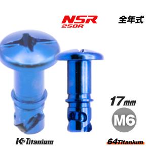 ホンダ 純正 NS 400R 用 クイック スクリュー & リテーナー セット K'sガレージ チタンボルト M6×14 ブラック 1本売り ホンダ NSR250 純正