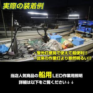 テープライト LED 防水 屋外 12v 専用...の詳細画像2