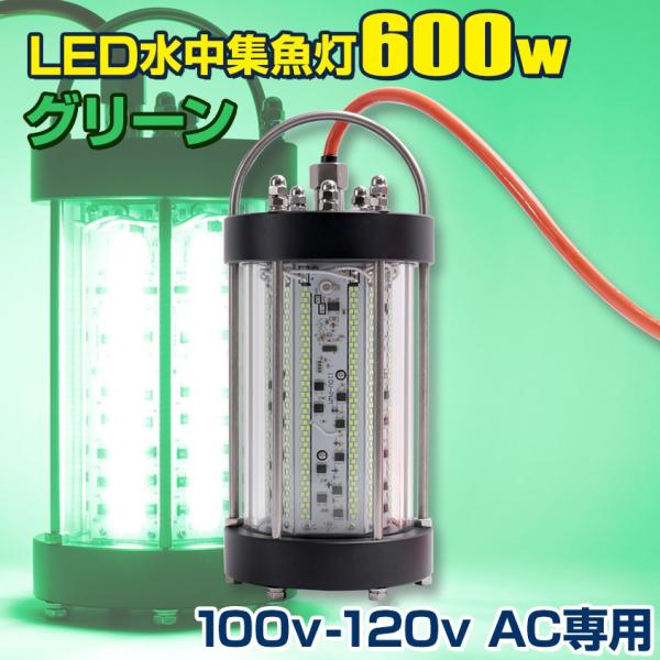 集魚灯 水中 ライト グリーン 100v AC専用 600w 水中集魚灯 トビウオ シラスウナギ イ...