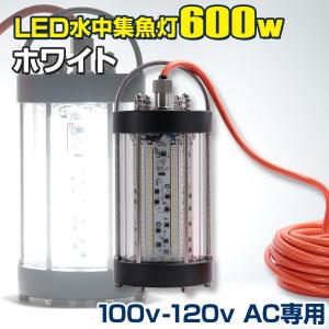 水中集魚灯 100v AC専用 ホワイト 集魚灯 高出力 600w 78000LM トビウオ シラスウナギ 水中ライト イカ釣り アジ 集魚ライト 漁船 LED｜ksgarage