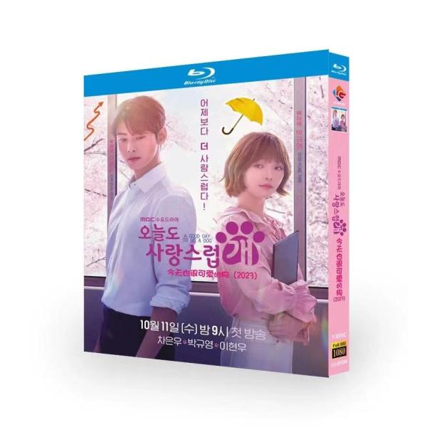 韓国ドラマ『ワンダフルデイズ』 ブルーレイ[Blu-ray-BOX]高画質海外盤正規品