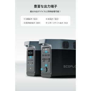 EcoFlow ポータブル電源 DELTA 2...の詳細画像1