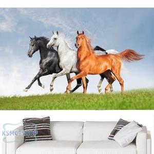 馬 ステッカー 防水の商品一覧 通販 Yahoo ショッピング