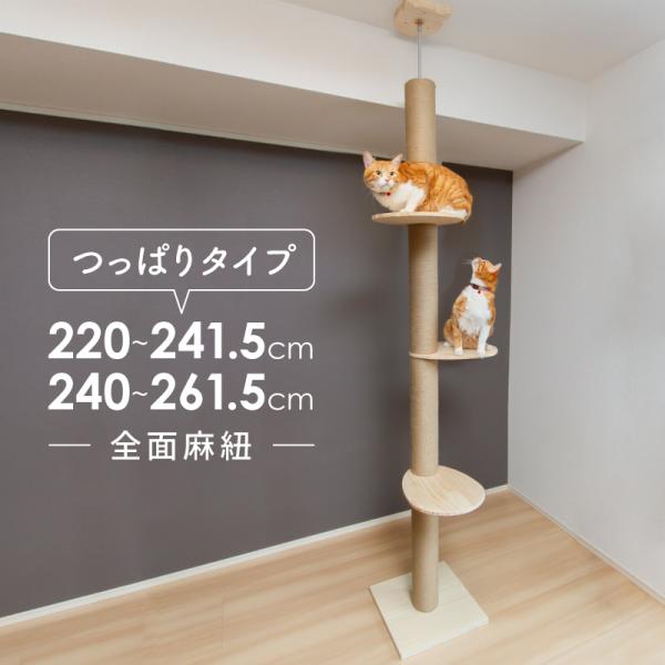 キャットタワー 突っ張り つっぱり 大型 省スペース スリム コンパクト 220-240 240-2...