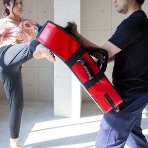 キックミット 大人用 子供用 厚さ 150mm...の詳細画像3