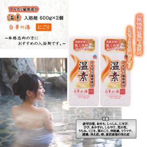 稚内温泉 入浴剤 浴用濃縮 お肌 つるつる 乾燥肌 アトピー 1本 : 稚内