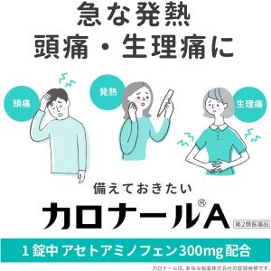 【第2類医薬品】カロナールA 24錠 ×2の詳細画像1