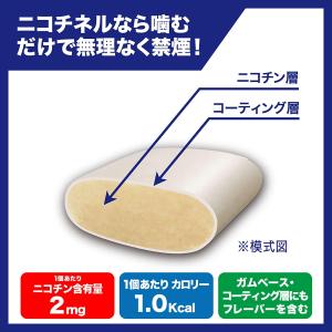 【指定第2類医薬品】ニコチネル ミント 20個 ×2の詳細画像1