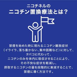 【指定第2類医薬品】ニコチネル ミント 20個 ×2の詳細画像2
