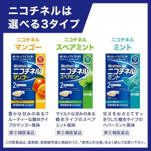 【指定第2類医薬品】ニコチネル ミント 20個 ×2の詳細画像3