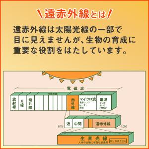 遠赤外線シート 大判サイズ 80×50cm 遠...の詳細画像1