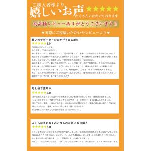 遠赤外線 足首サポーター 遠赤外線フリーバンド...の詳細画像2