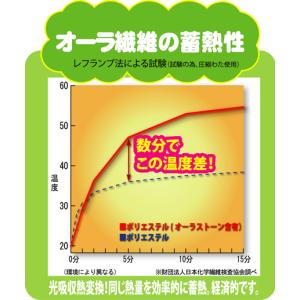 オーラ 岩盤 ぽかぽか 足湯気分 むくみ 冷え...の詳細画像1