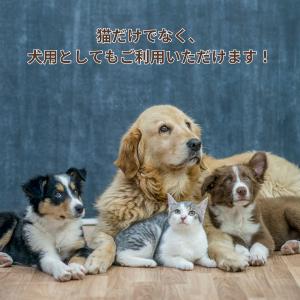 フードボール 猫用食器 ペット用フードボウル ...の詳細画像5