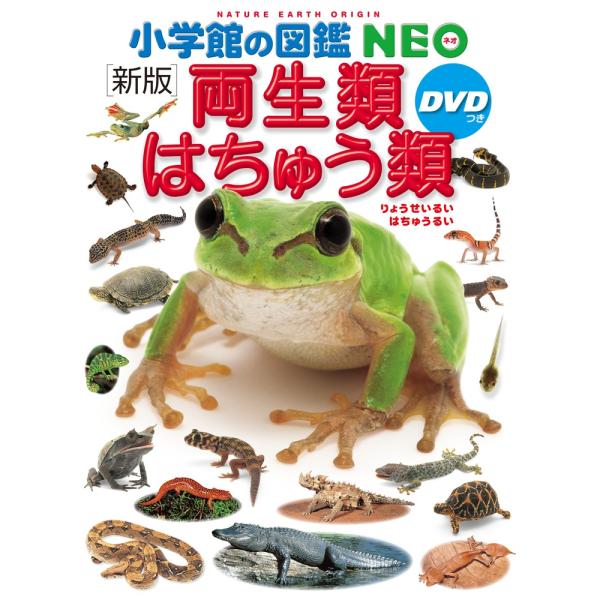 両生類・はちゅう類 [新版] DVDつき (小学館の図鑑NEO)