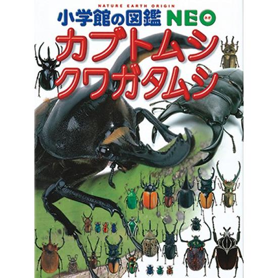 カブトムシ・クワガタムシ (小学館の図鑑NEO)