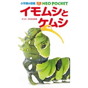 イモムシとケムシ チョウ・ガの幼虫図鑑 小学館の図鑑 NEO POCKET