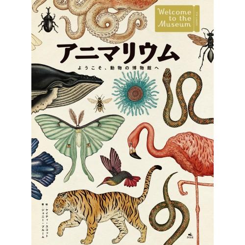 アニマリウム ようこそ、動物の博物館へ [書籍]