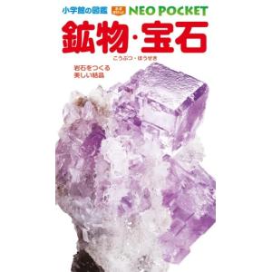 鉱物・宝石　POCKET版　[小学館の図鑑NEO]