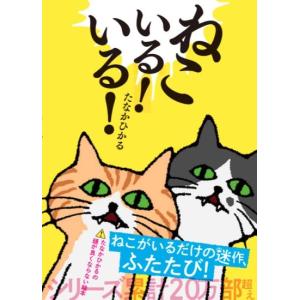 ねこいる！　いる！　[たなかひかる　ポプラ社　絵本]