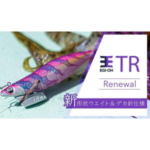 ヤマシタ エギ王 TR 3.5号 27g ティップラン YAMASHITA YAMARIA