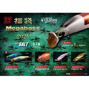 Megabass（メガバス） 2026福袋 SALT SET ソルト ルアー セット : WILD