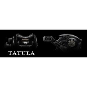 ダイワ 24タトゥーラ TW 100HL DAIWA TATULA TW 100HL｜kt-gigaweb