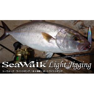SeaWalk Light Jigging B66L Bait Model シーウォーク ライト /...