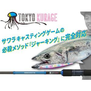 レジットデザイン スクアド NEW SKC64XXH-SEABASS Big Bait Special 大