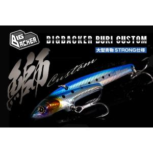 ジャッカル ビッグバッカー107鰤カスタム JACKALL BIGBACKER