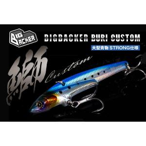 ジャッカル ビッグバッカー107鰤カスタム JACKALL BIGBACKER 107 BURI C...