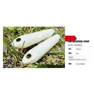 レジットデザイン スクアド NEW SKC64XXH-SEABASS Big Bait Special 大
