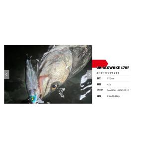 マルジン ユーケービッグウェイク 170F UK BIGWAKE 170F marujin