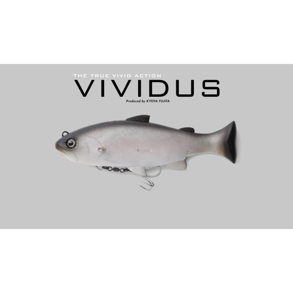 ジャッカル ヴィヴィダス JACKALL VIVIDUS