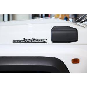 ランドクルーザー70用4x4エンジニアリング リアラダー 艶消しブラック塗装 ランドクルーザー70用4x4エンジニアリング リアラダー 艶消しブラック