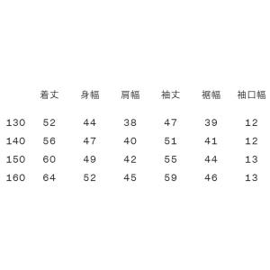 ザ・ノースフェイス ジャケット アコンカグアジ...の詳細画像2