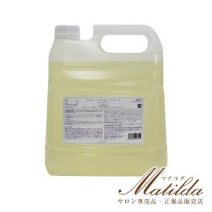 Re: Platinum シャンプー(リ プラチナムシャンプー)4000ml(4L)(レフィル／詰め替え)業務用 美容室・サロン専売品 アジュバン ADJUBANT リ シリーズ Re: series