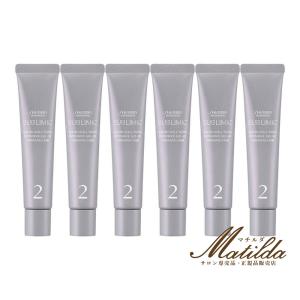 資生堂 サブリミック サロンソリューション リーディングプライマー