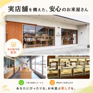 米 5kg 白米 送料無料 安い 備蓄米 国産...の詳細画像3