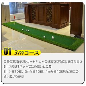 パター 練習 パターマット 3m ゴルフパター...の詳細画像2