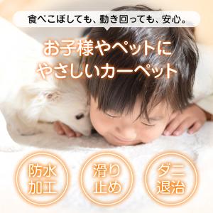 ホットカーペット ミニ 電気カーペット ホット...の詳細画像3