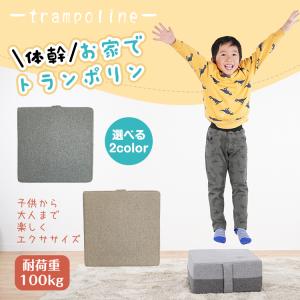 トランポリン 家庭用 子供 クッション 効果 カバー エクササイズ トレーニング 室内 幅40cm 体幹 運動 静音 プレゼント ギフト クリスマス De135 De135 雑貨ショップk T 通販 Yahoo ショッピング