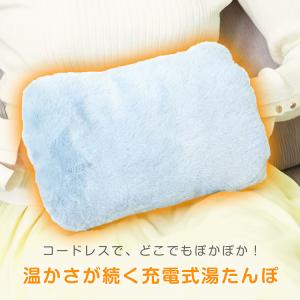 湯たんぽ ゆたんぽ 電熱 電気カイロ 蓄熱式 ...の詳細画像1