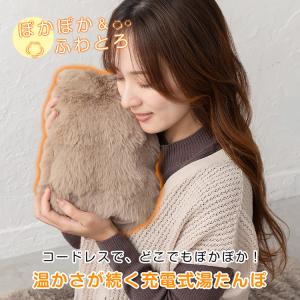 湯たんぽ ゆたんぽ 蓄熱式 電熱 電気カイロ ...の詳細画像1