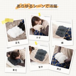 湯たんぽ ゆたんぽ 蓄熱式 電熱 電気カイロ ...の詳細画像2